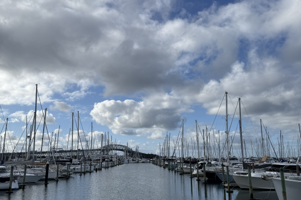 View from Westhaven Marina in Auckland. Sail boats line the sides of the water, which reflects the blue sky and fluffy clouds. The Auckland Harbour Bridge can be seen in the background.